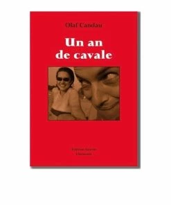 EDITIONS GUERIN Un An De Cavale